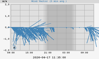Wind Vector